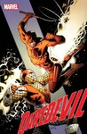Highlight for Album: Daredevil #31
