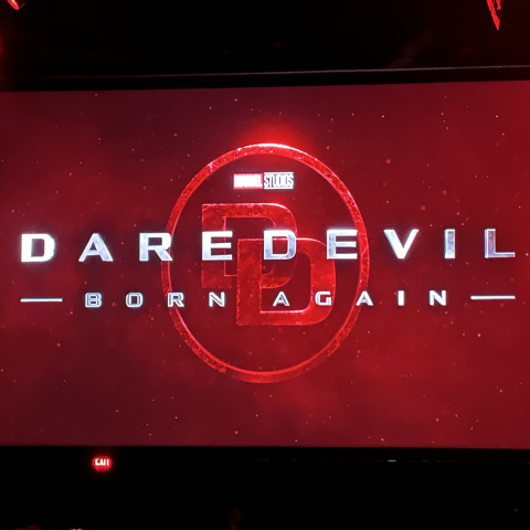 Daredevil: Born Again and Echo
